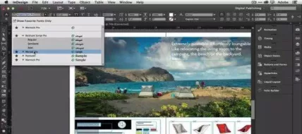 Adobe InDesign CS6 thumbnail