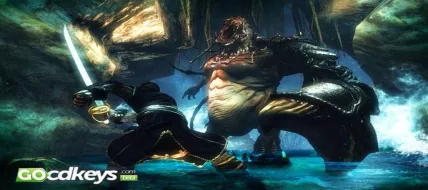 Risen 2 Dark Waters  thumbnail