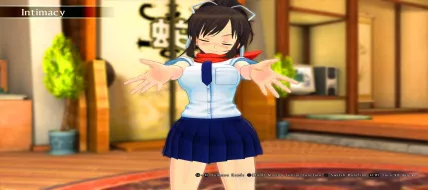 SENRAN KAGURA BURST RE:NEWAL thumbnail