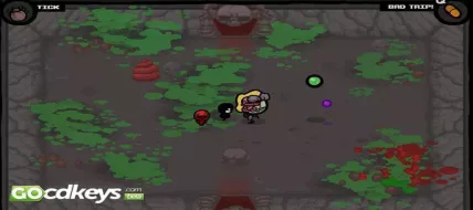 The Binding of Isaac Unholy Edition + Wrath of Lamb  thumbnail