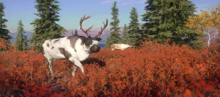 theHunter: Call of the Wild Yukon Valley thumbnail