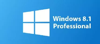 Windows 8.1 Professional  thumbnail